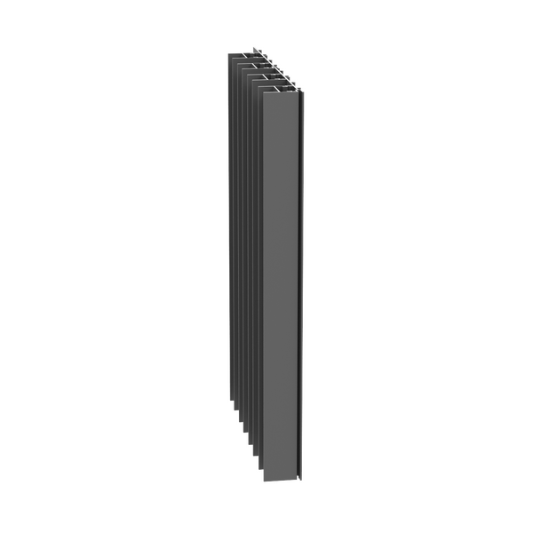 Paralline Fin